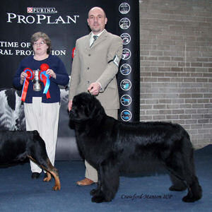 Ir. Ch. Brooklynbear Calendar Girl with Snugines, ShCM